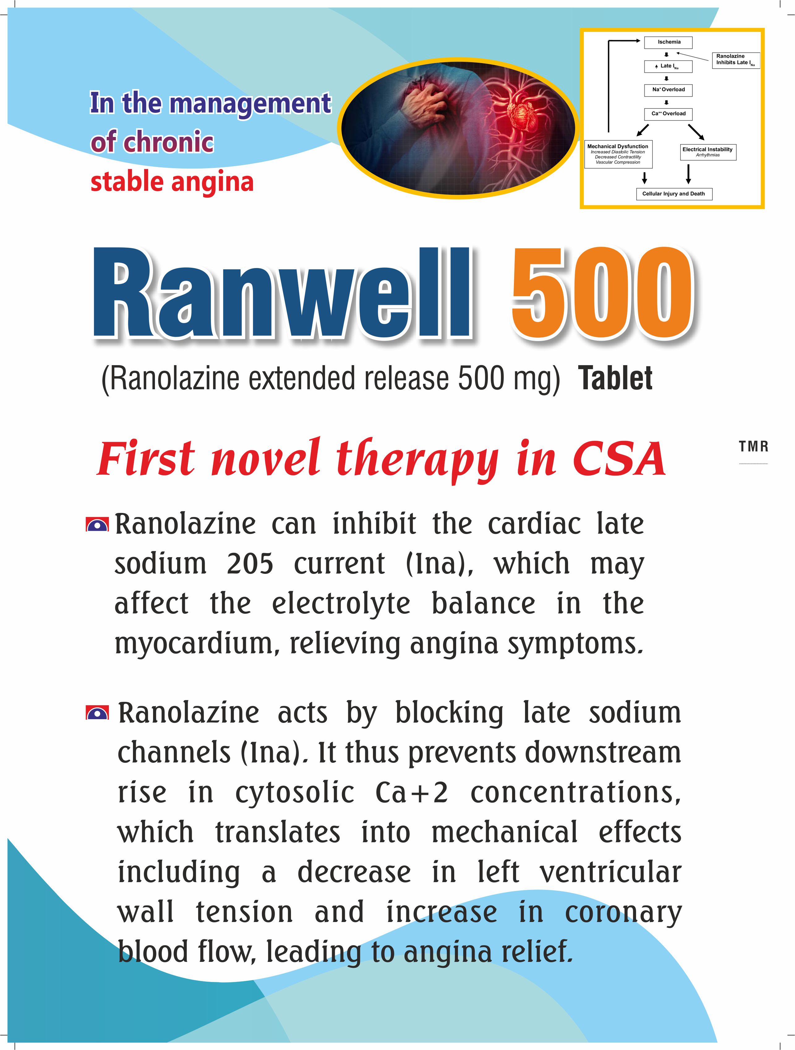 Ranwell 500