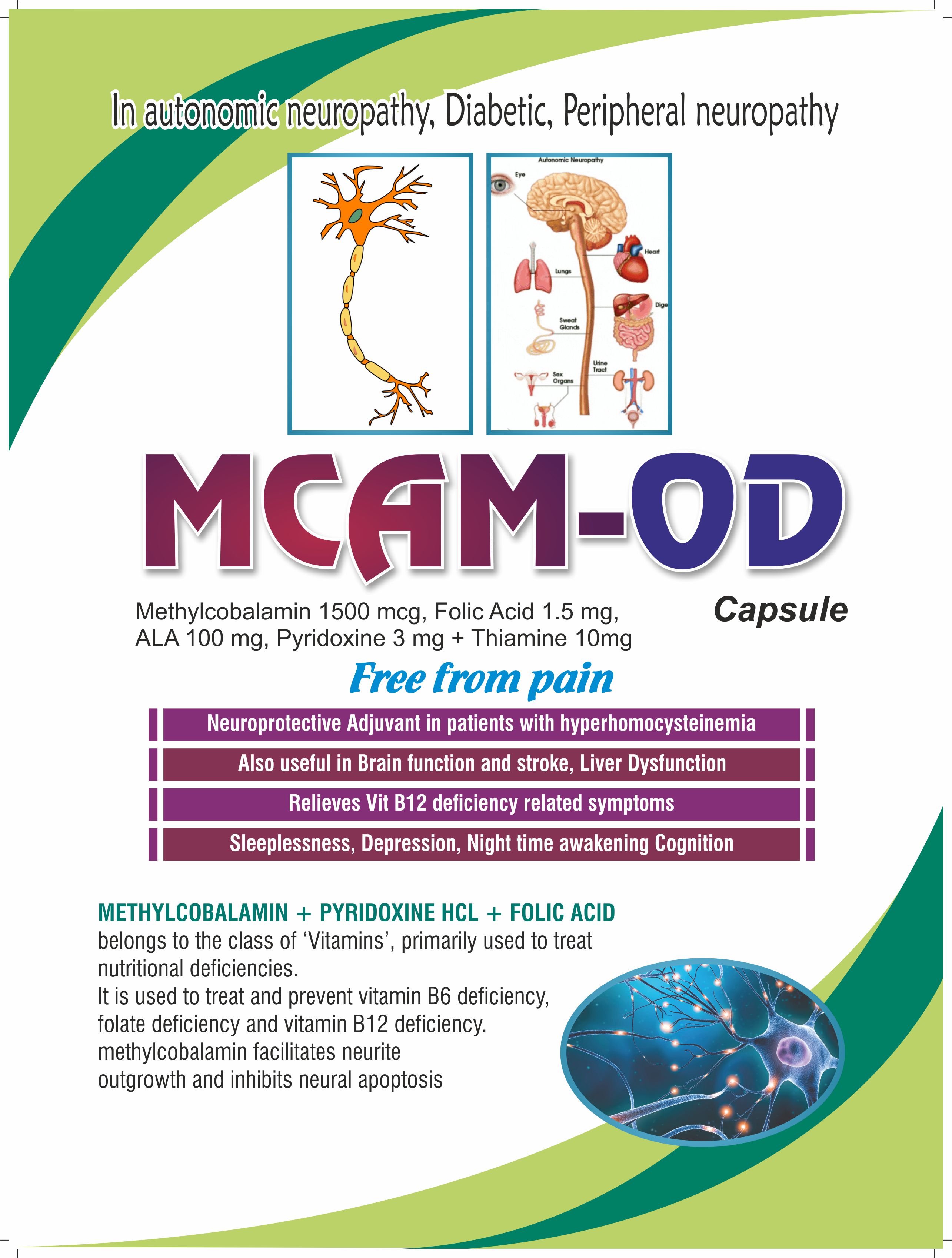 Mcam-OD